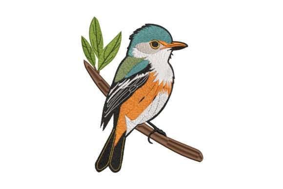 Download Birds of the Bloom - Premium Resources