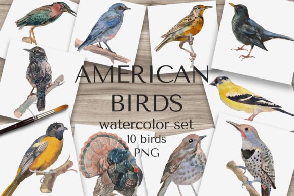 Download "American Birds" Watercolor Set - Premium Resources